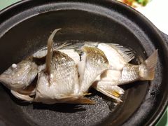 -百味馆·粤菜·湛江菜(后海花园店)