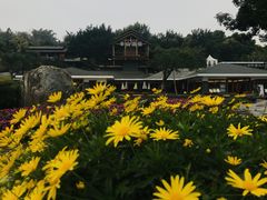 -湖泉半山温泉