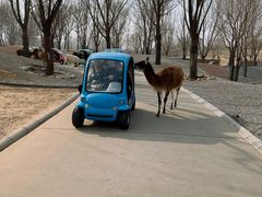 -北京野生动物园