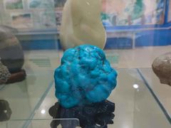 -郑州自然博物馆(惠济区)