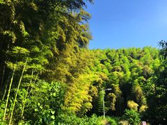 -天目湖山水园