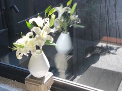 -觀芷隐轩