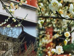 -虎丘山风景名胜区