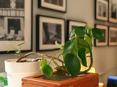 -一尺花园(安和花园店)