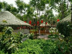 -草根堂农场