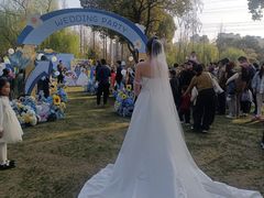-九里河湿地公园
