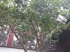 景点-朱家角课植园