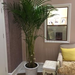 -UP&UP·半永久眉毛眼线机器野生眉