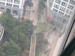 -东哥紫阳蒸盆子(旺座·现代城店)