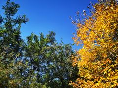 -永定河休闲森林公园