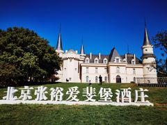-北京张裕爱斐堡酒庄