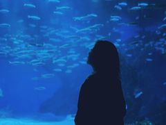 -海合安成都极地海洋公园