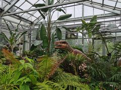 -国家植物园南园