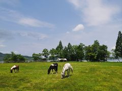 -四明湖