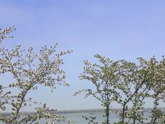 -幕燕滨江·长江观音景区