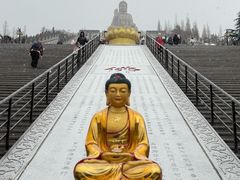 -龙口南山旅游景区