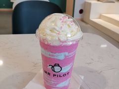 -飞行喵MR PILOT|猫舍·猫咖(静安大融城店)