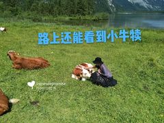 -柯尼希湖
