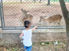 -西安秦岭野生动物园