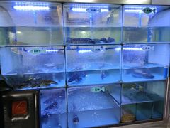 -忘情水鱼头·鲜鱼火锅(滨江中路店)