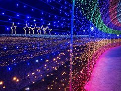 -歌斐颂巧克力小镇