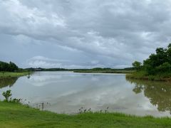 -东滩湿地公园观海楼餐厅