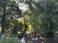 -成都市活水公园