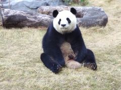 -灵玲国际马戏城