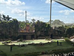 -新加坡飞禽公园