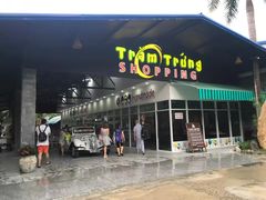 -100蛋泥浆浴