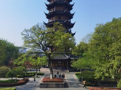 -红梅公园