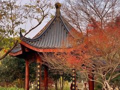 -堤角公园