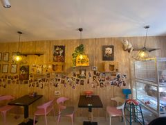 -名猫咖啡馆·撸猫·拼豆