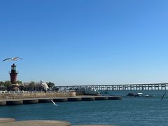 -星海湾跨海大桥