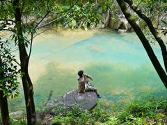 -广州白江湖森林公园