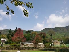 -塔川景区