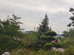 -羊山湖公园