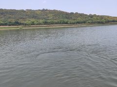 -羊山湖公园