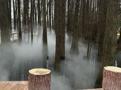 -东湖落雁景区