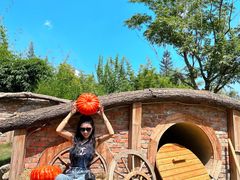 -HERRE·FARM 赫尔露营农场·团建聚会包场