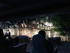 -清迈夜间动物园