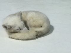 -哈尔滨极地公园