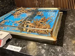 -蟹将军·松叶蟹和牛日料放题自助(K11店)