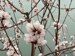 -颐和园