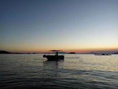 -广东惠东海龟国家级自然保护区