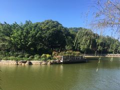 -广州市帽峰山景区