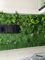 -B-BEAUTY童颜皮肤管理中心