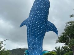 -珠海长隆海洋王国
