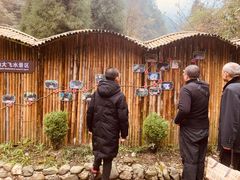-西岭雪山大飞水景区