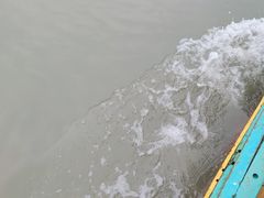 -北岐滩涂